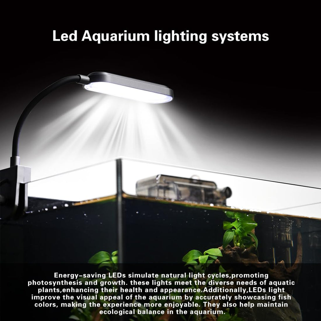2.8 Gallon Glass Fish Tank with Light and Filter U975948