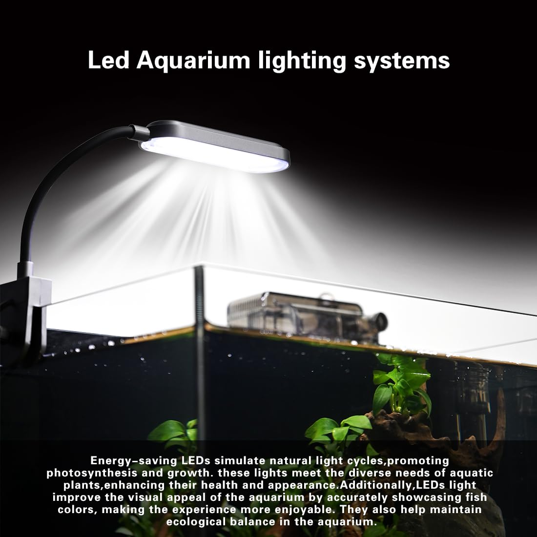 2.8 Gallon Glass Fish Tank with Light and Filter U975948