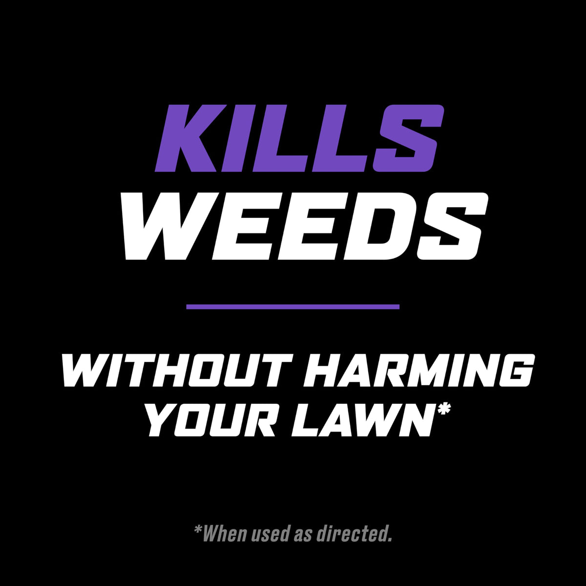Lawn Weed Killer with Comfort Wand S436
