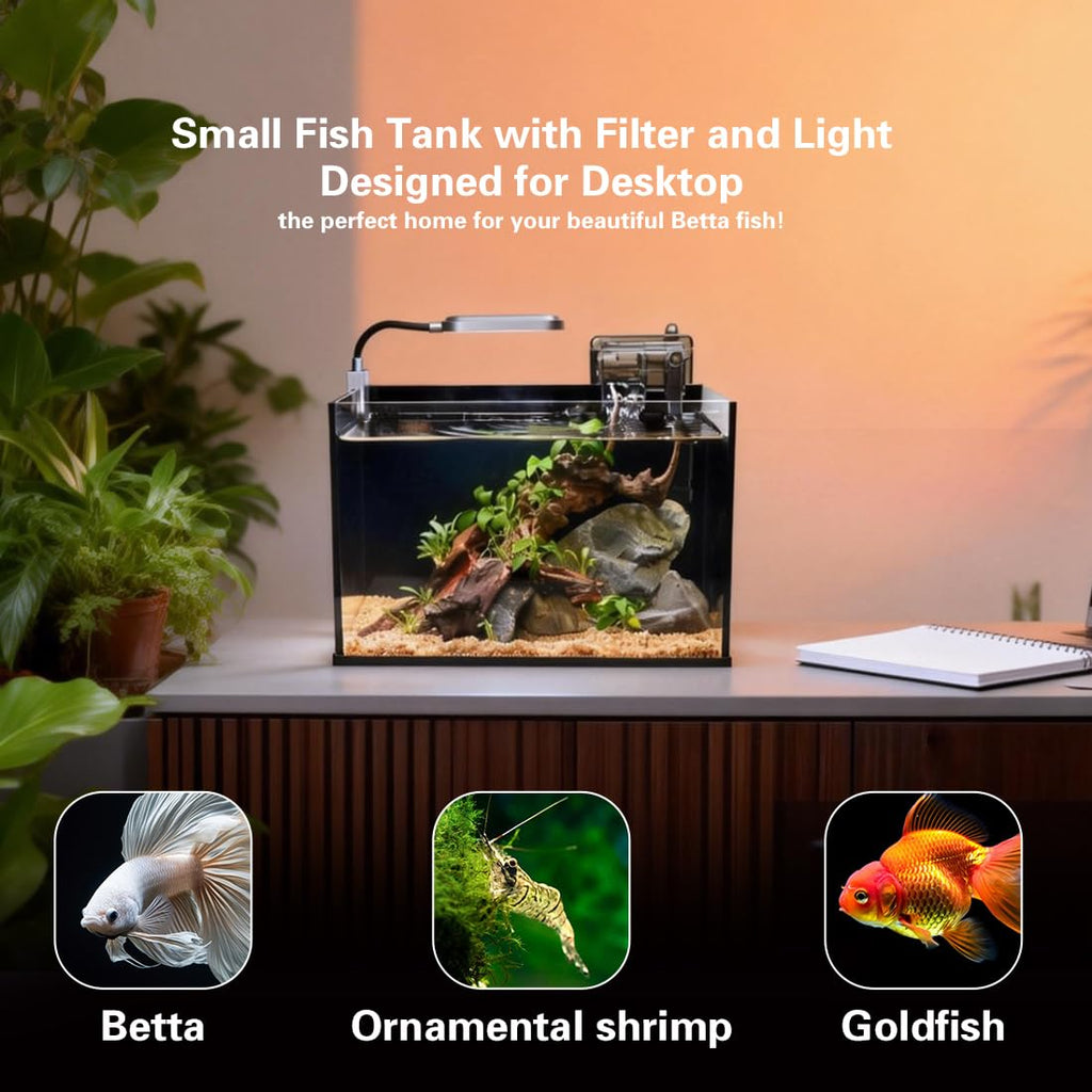 2.8 Gallon Glass Fish Tank with Light and Filter U975948