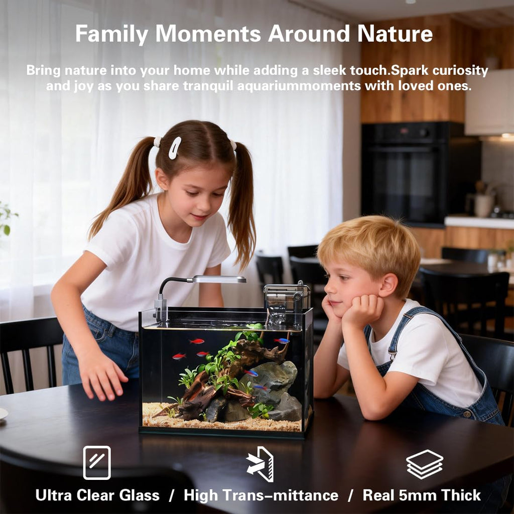 2.8 Gallon Glass Fish Tank with Light and Filter U975948
