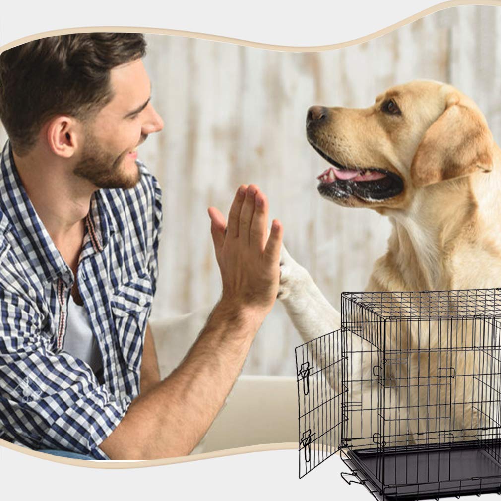 Folding Metal Dog Crate with Divider and Handle R5320