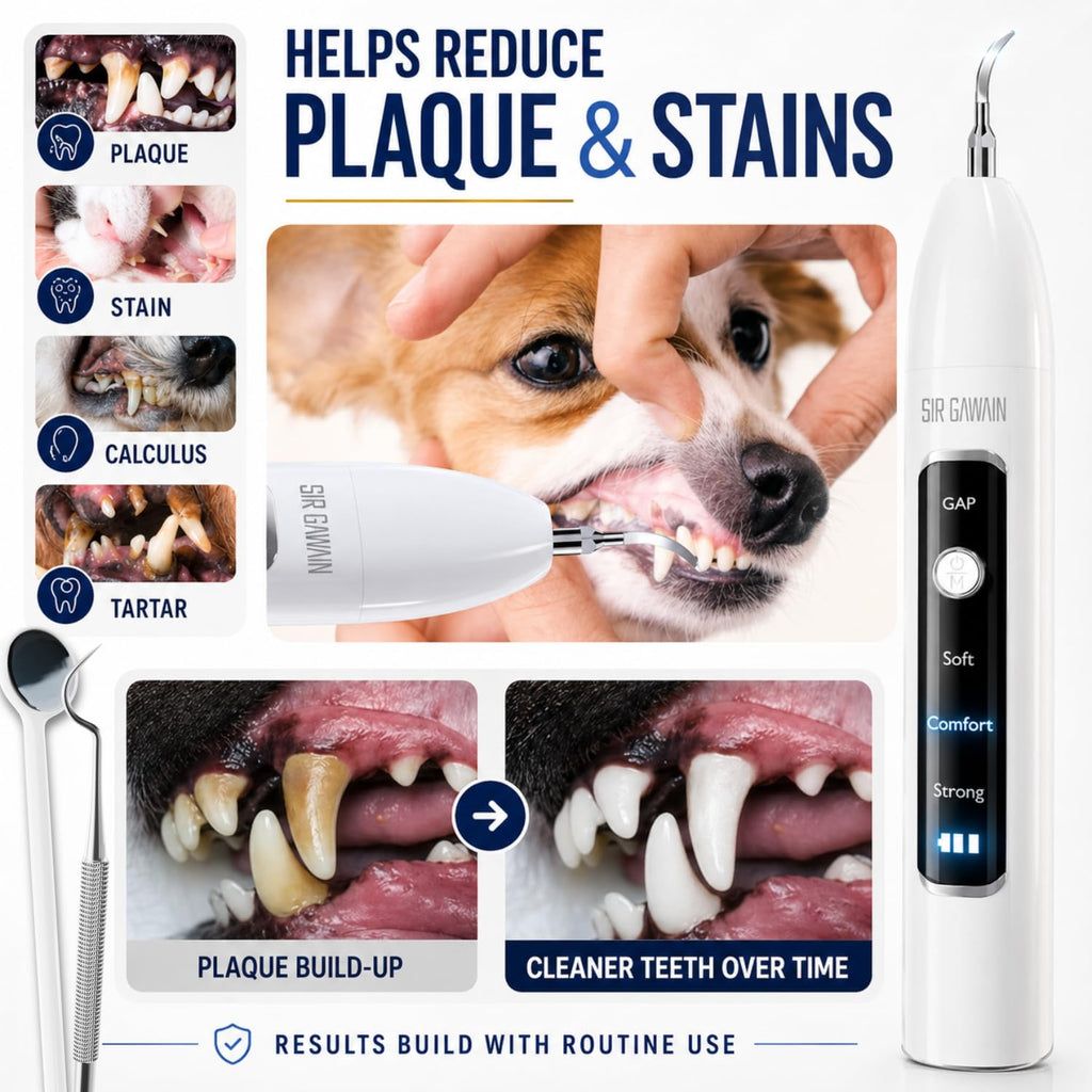 Ultrasonic Pet Dental Cleaner with 4 Tips and 3 Modes J786109