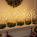 Lighted Birch Tree with LED Lights Q874434