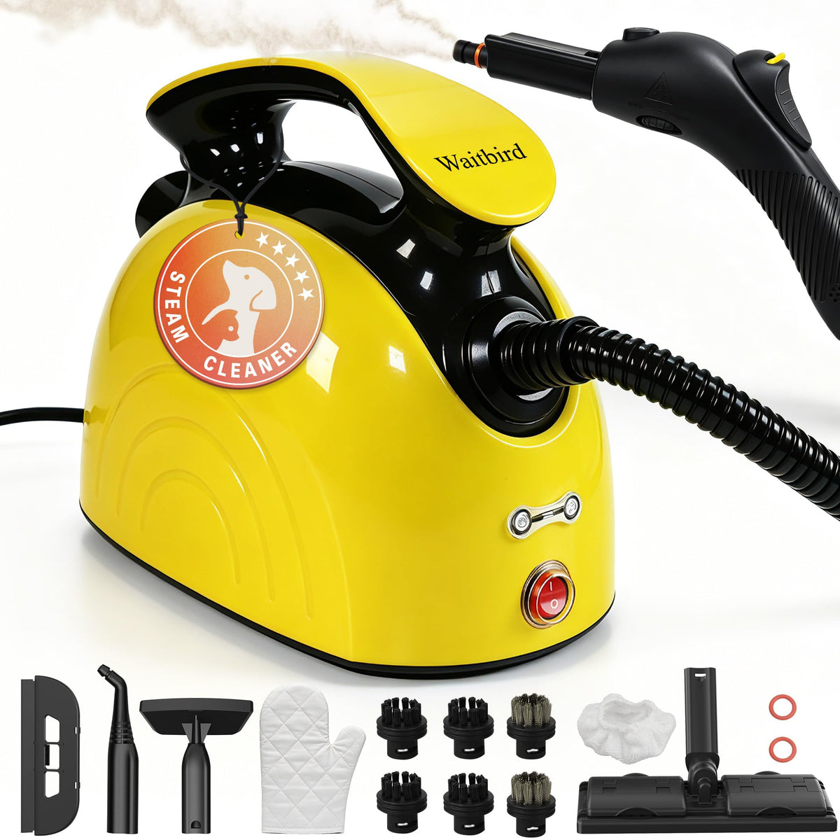 4.5 Bar 300°F Steam Cleaner D5896