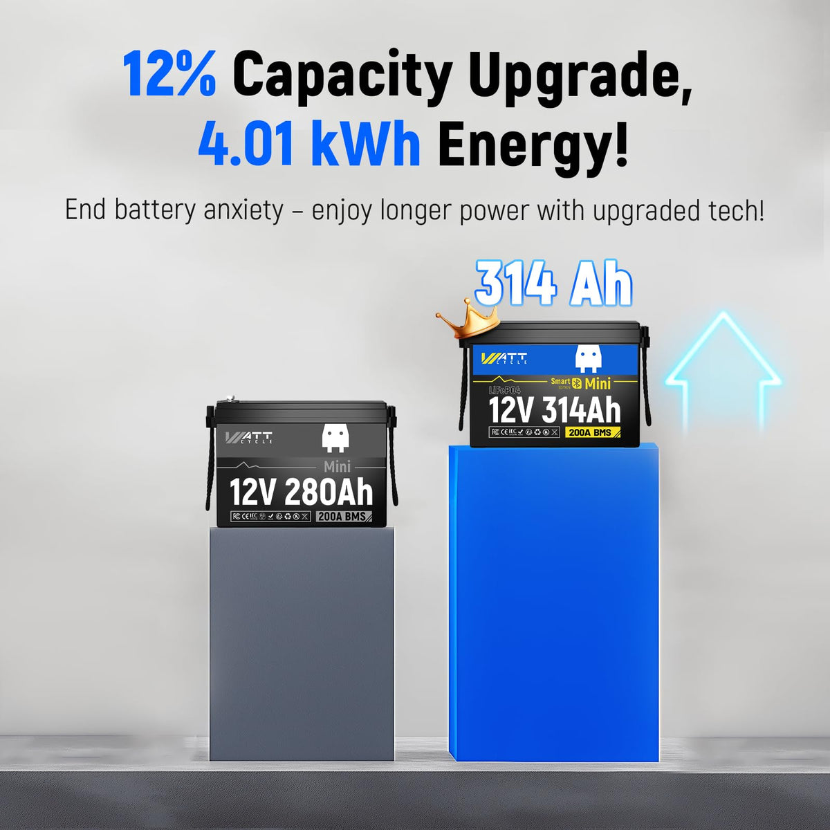 12V 314Ah LiFePO4 Battery 2 Pack H21347