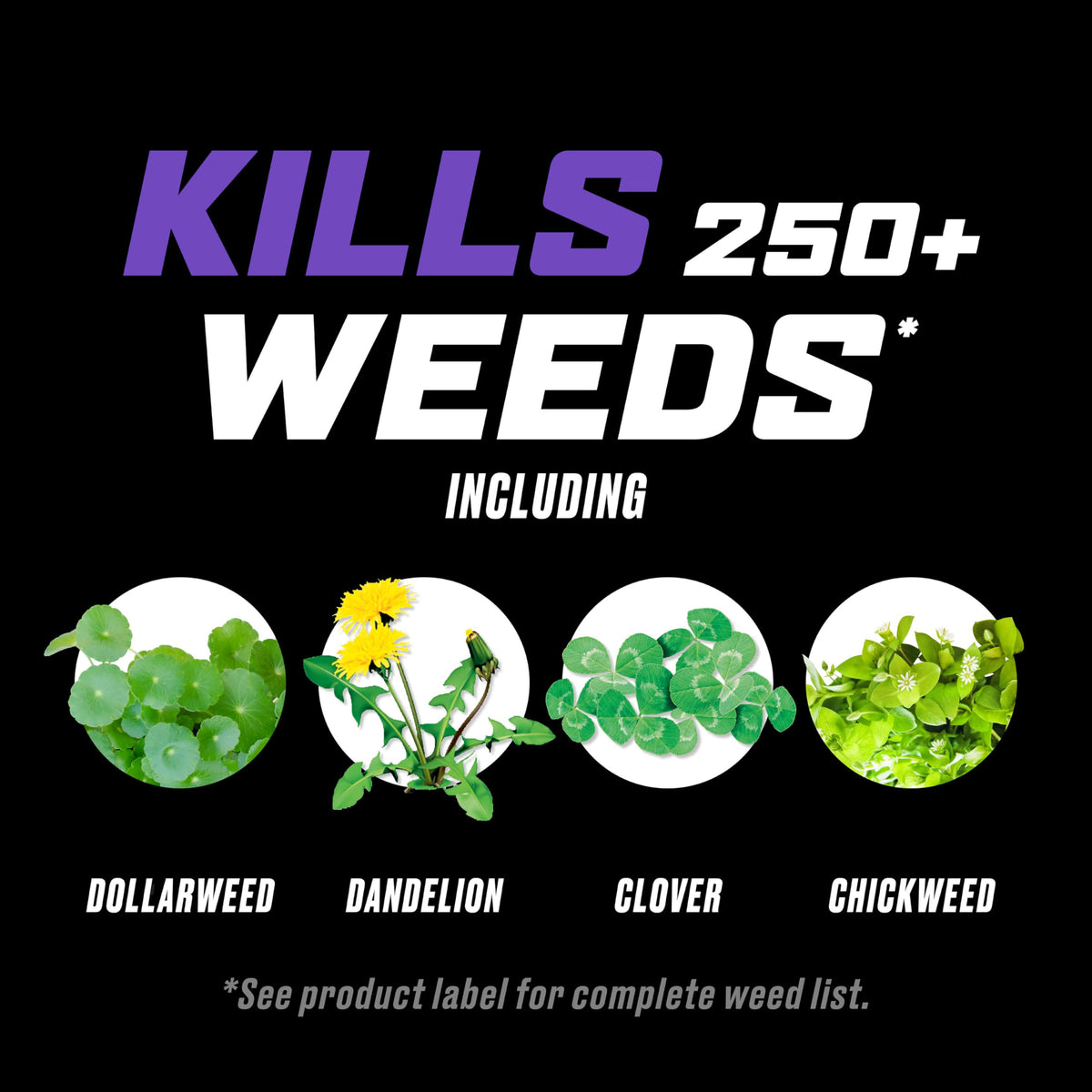 Lawn Weed Killer with Comfort Wand S436