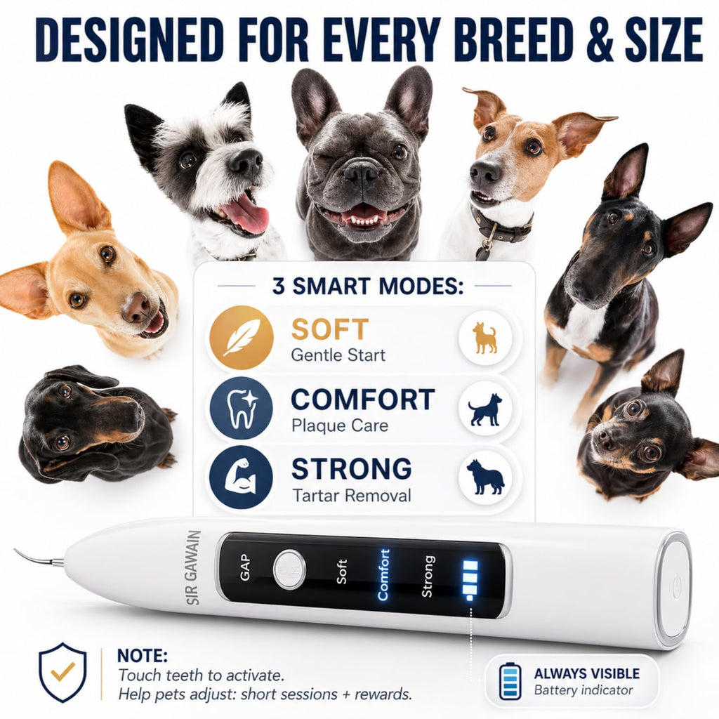 Ultrasonic Pet Dental Cleaner with 4 Tips and 3 Modes J786109