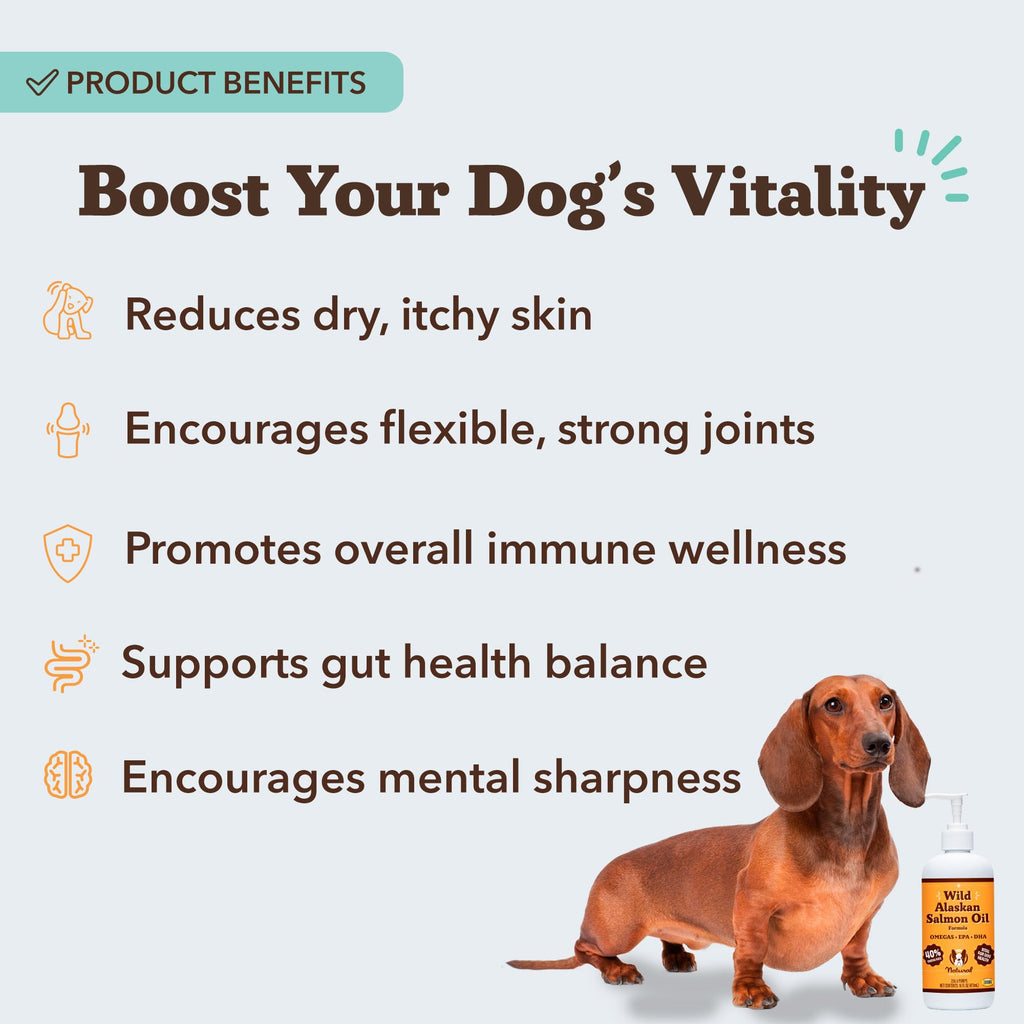 Salmon Oil for Dogs 32 oz L955489