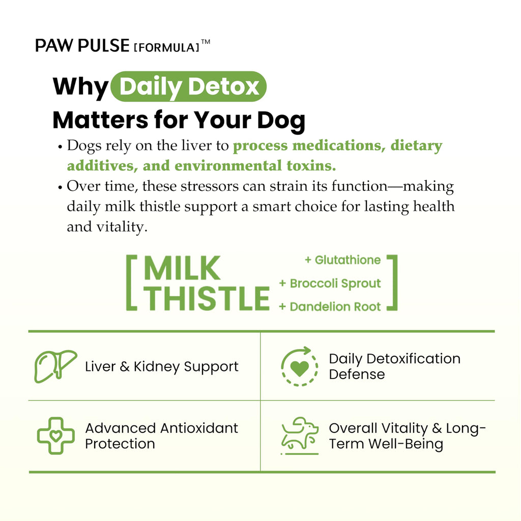 Milk Thistle & Silymarin Powder Liver Support for Dogs 2.12 oz R65975