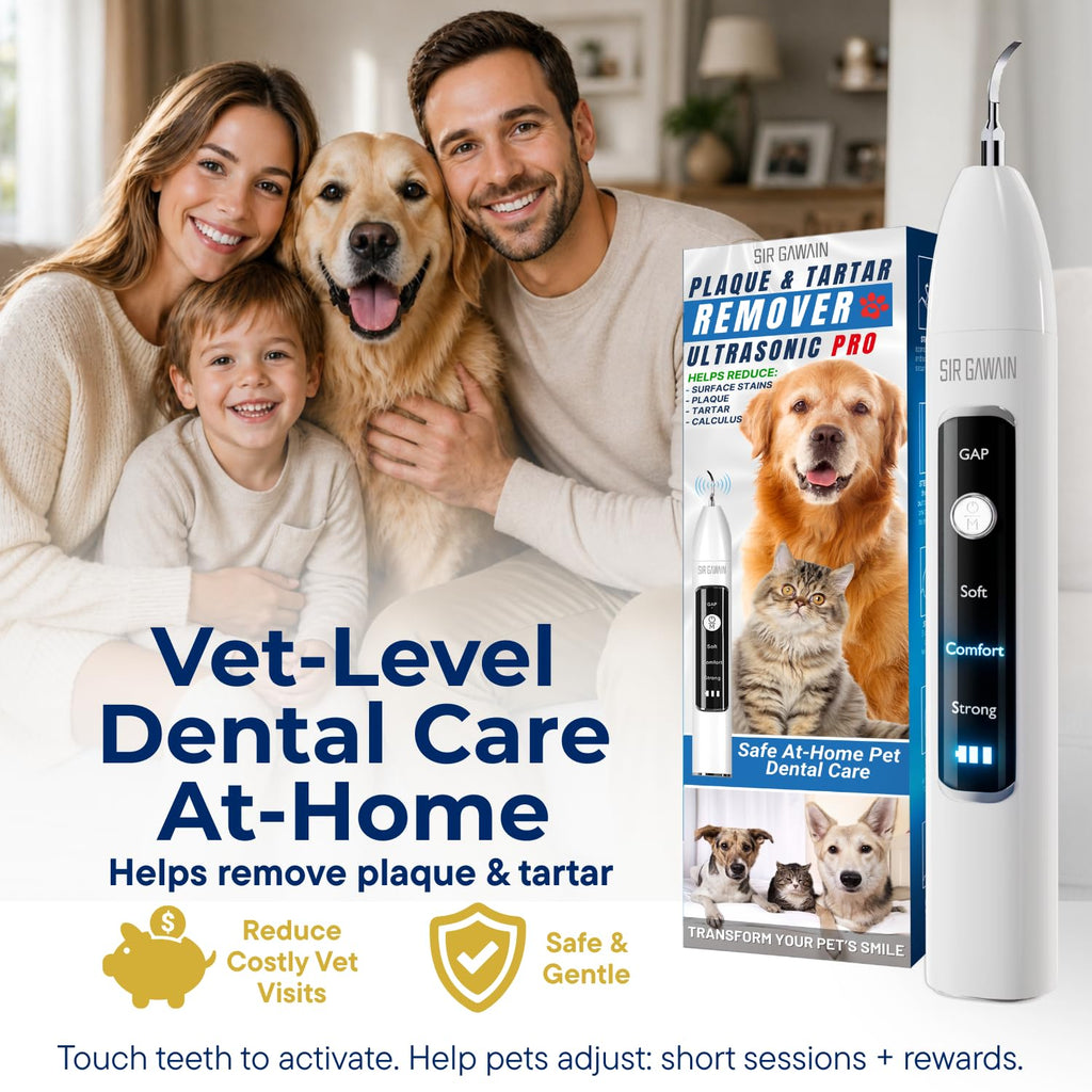 Ultrasonic Pet Dental Cleaner with 4 Tips and 3 Modes J786109