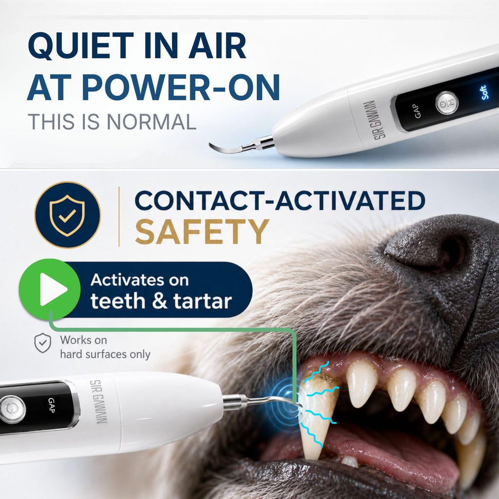 Ultrasonic Pet Dental Cleaner with 4 Tips and 3 Modes J786109