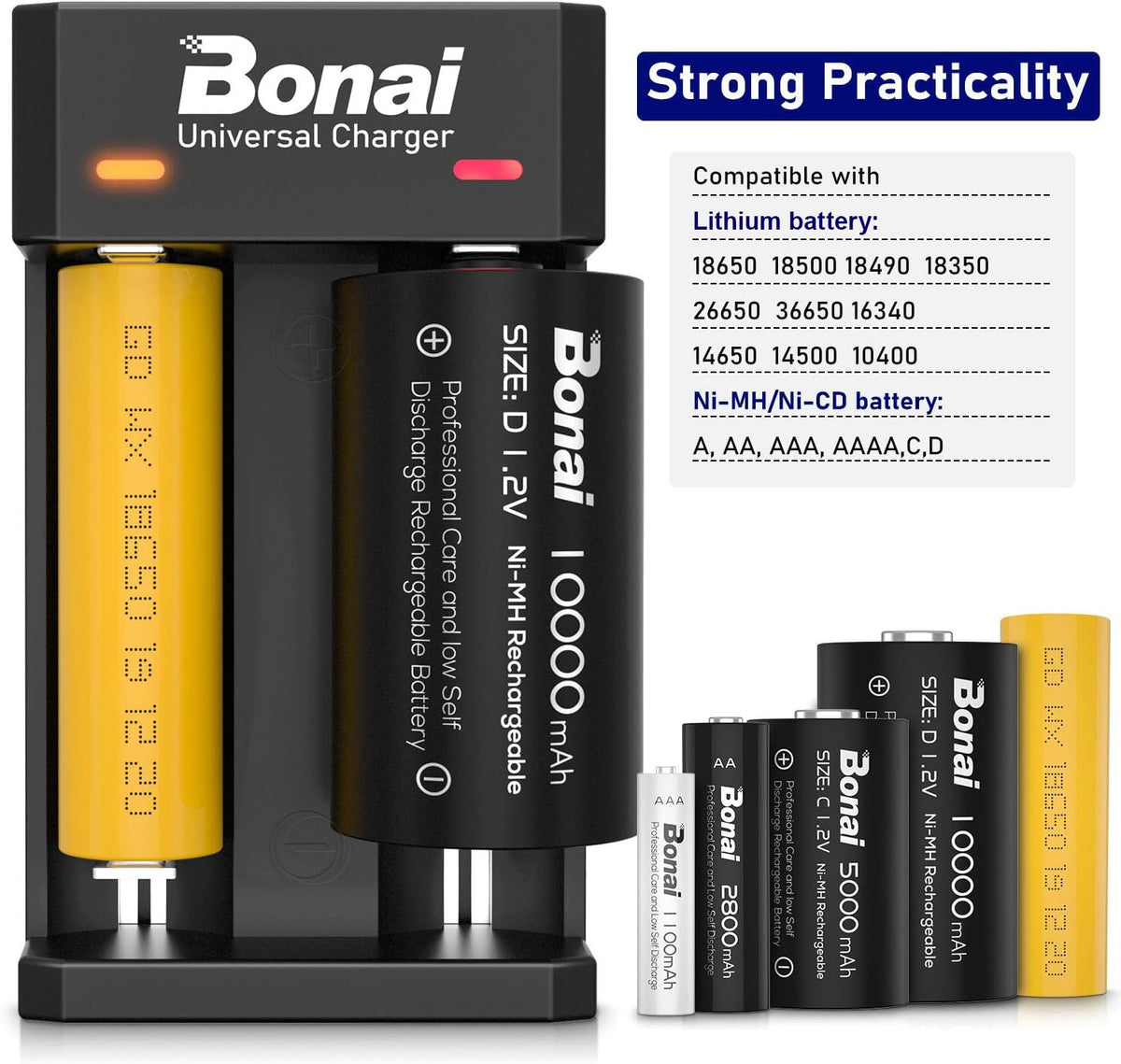 Battery Charger for AA AAA C D Rechargeable Batteries N9849