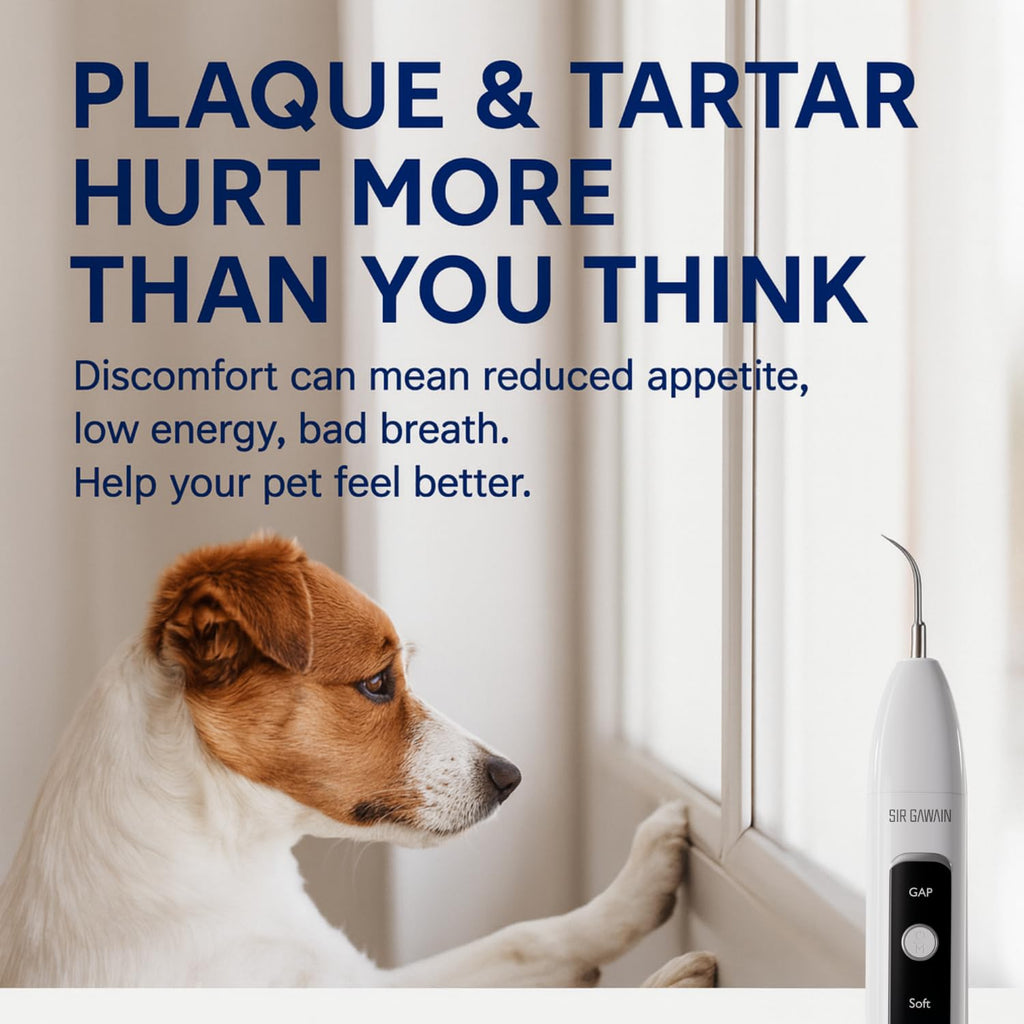Ultrasonic Pet Dental Cleaner with 4 Tips and 3 Modes J786109