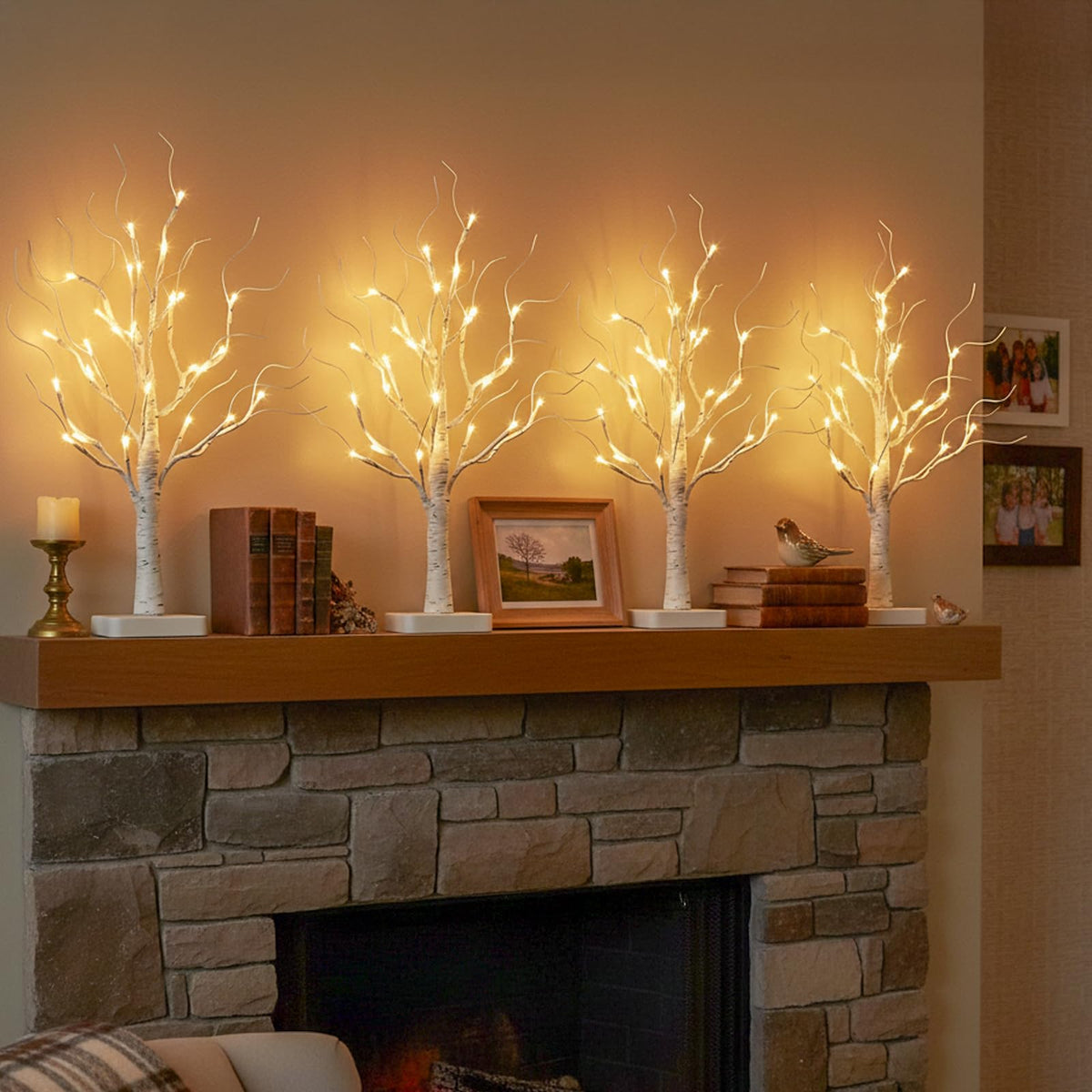 Lighted Birch Tree with LED Lights Q874434
