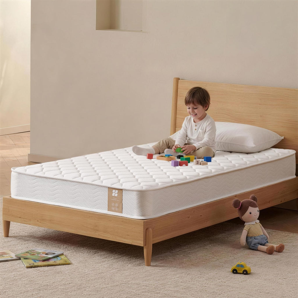 6 Inch Twin Mattress with Bonnell Spring Q65310