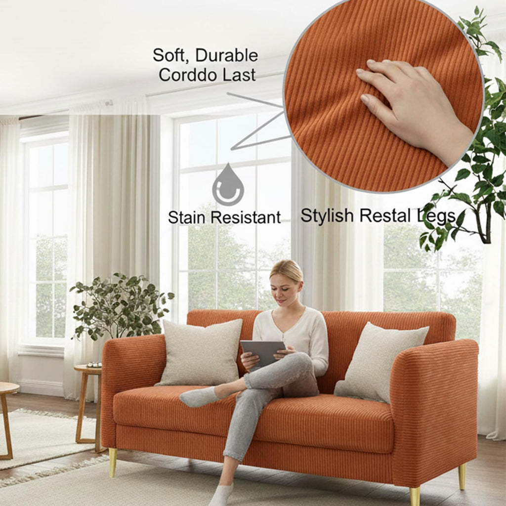 Velvet Loveseat Sofa D412030