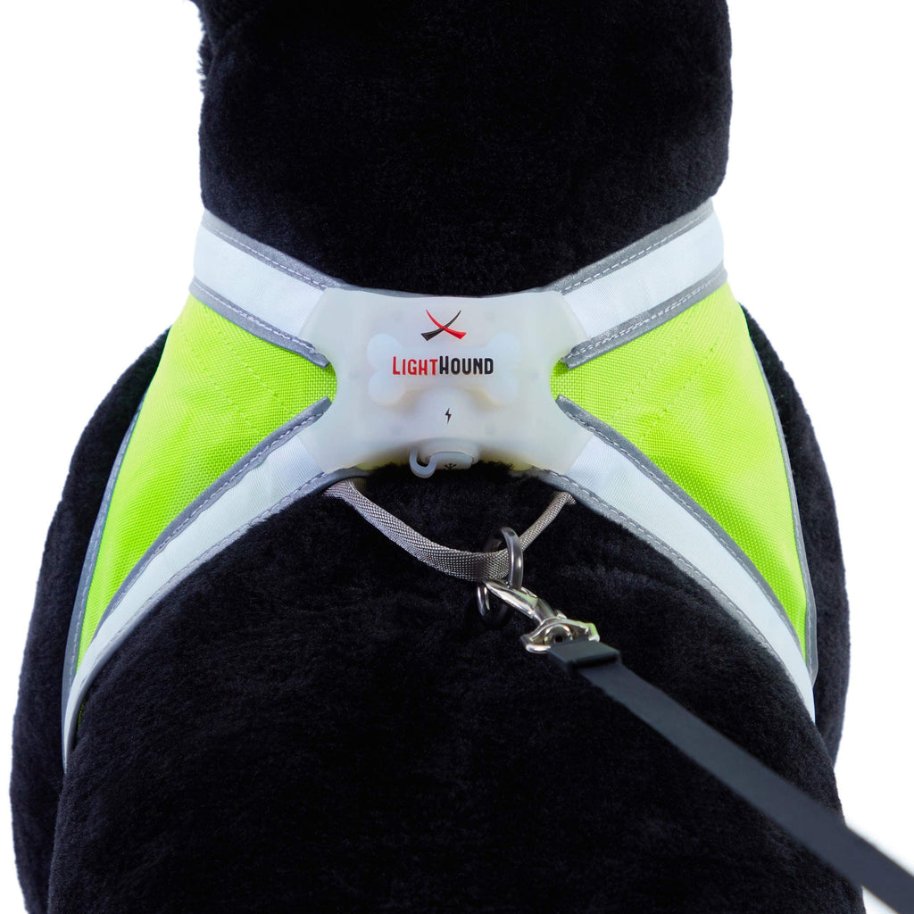 Reflective Light Up Dog Harness Large R392