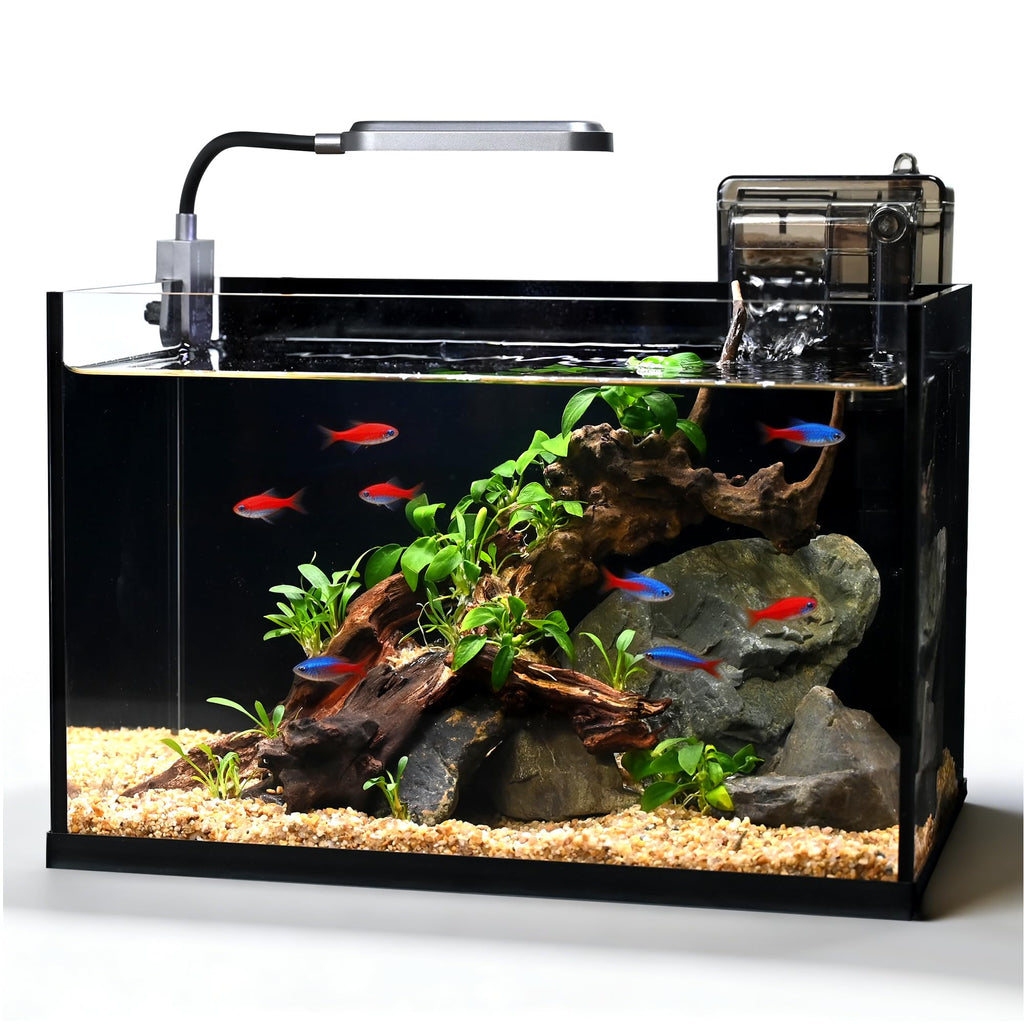 2.8 Gallon Glass Fish Tank with Light and Filter U975948