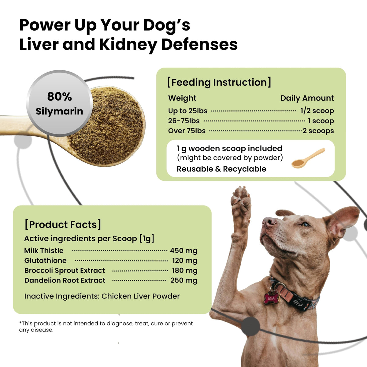 Milk Thistle & Silymarin Powder Liver Support for Dogs 2.12 oz R65975