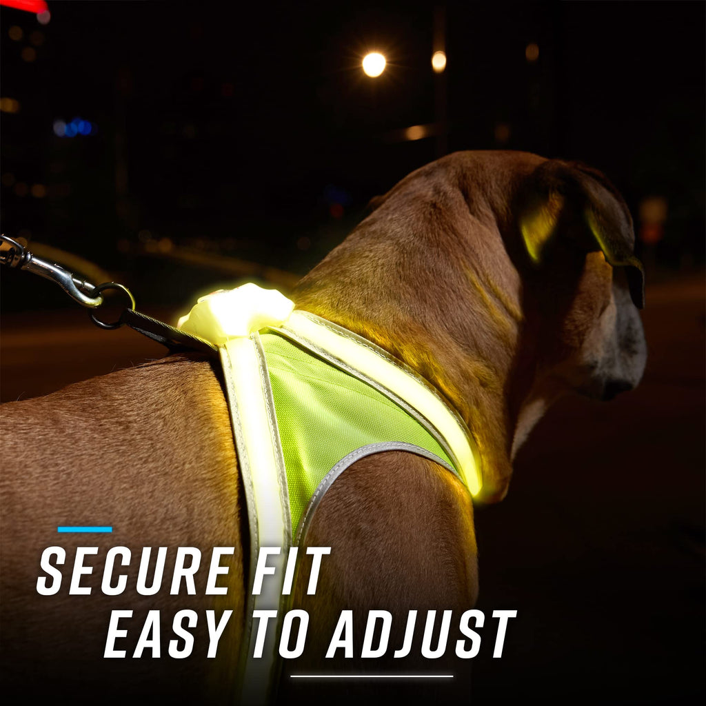 Reflective Light Up Dog Harness Large R392