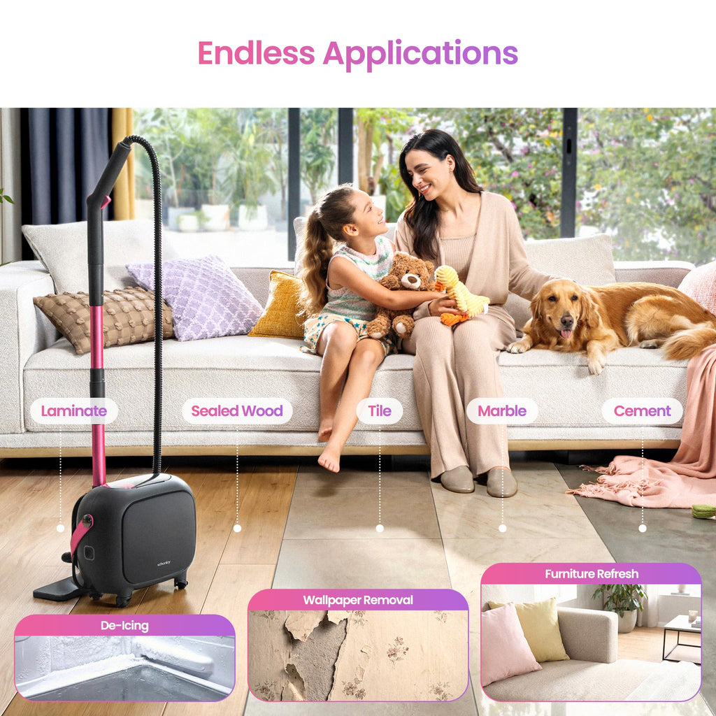 21-in-1 Steam Cleaner Q46084