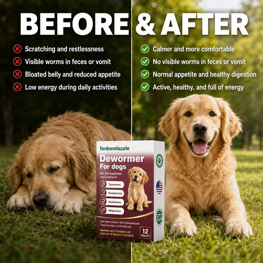Dewormer for Dogs 12 Count P6302