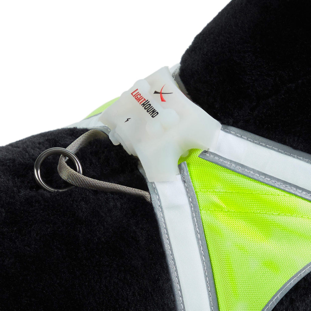 Reflective Light Up Dog Harness Large R392