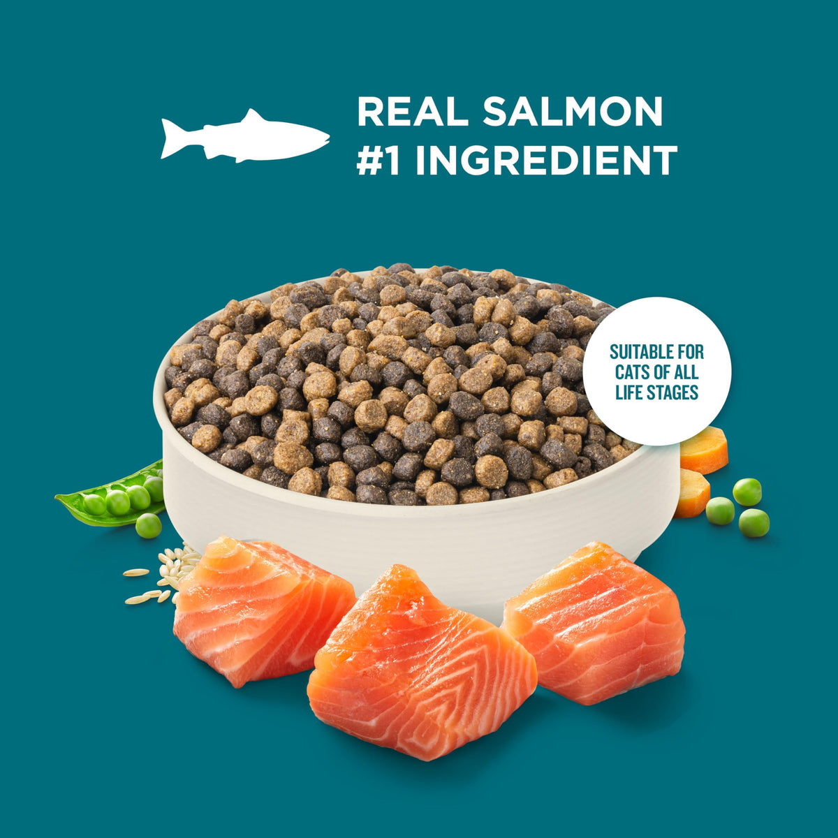 Salmon & Brown Rice Recipe Dry Cat Food 14 lb. Bag G6884