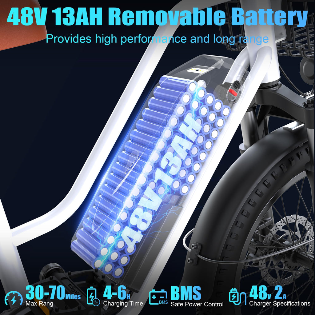 1000W 48V 13Ah Electric Bicycle with Rear Seat and Front Basket T174