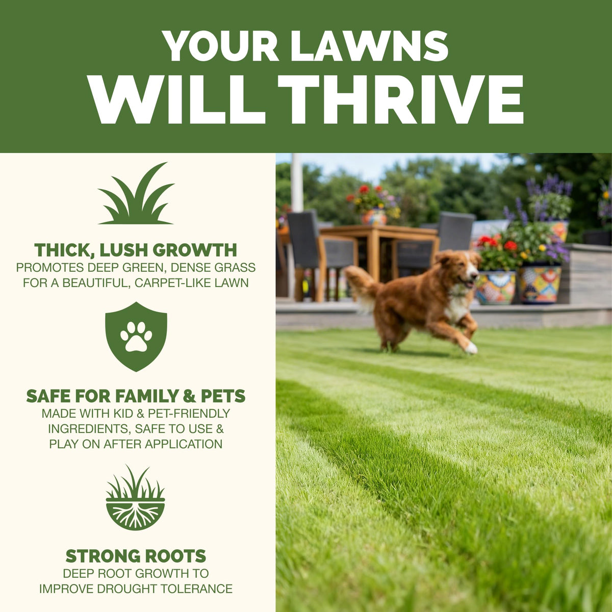 Liquid Lawn Fertilizer 1 Gallon X3429