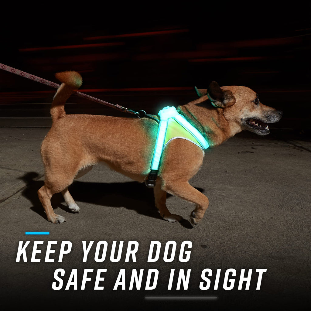 Reflective Light Up Dog Harness Large R392