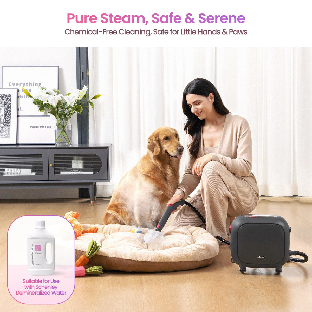 21-in-1 Steam Cleaner Q46084