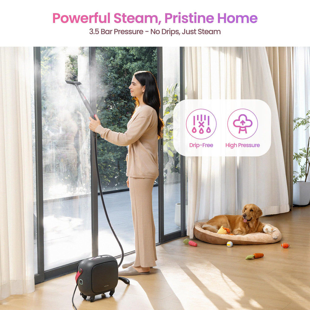 21-in-1 Steam Cleaner Q46084