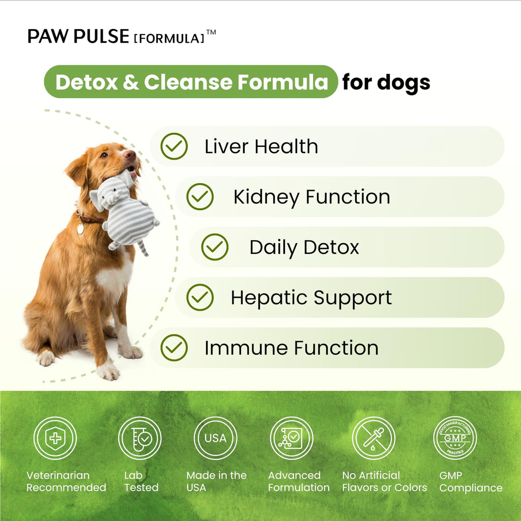 Milk Thistle & Silymarin Powder Liver Support for Dogs 2.12 oz R65975