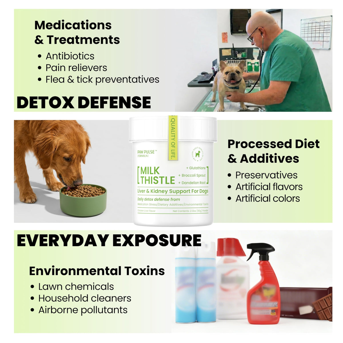 Milk Thistle & Silymarin Powder Liver Support for Dogs 2.12 oz R65975