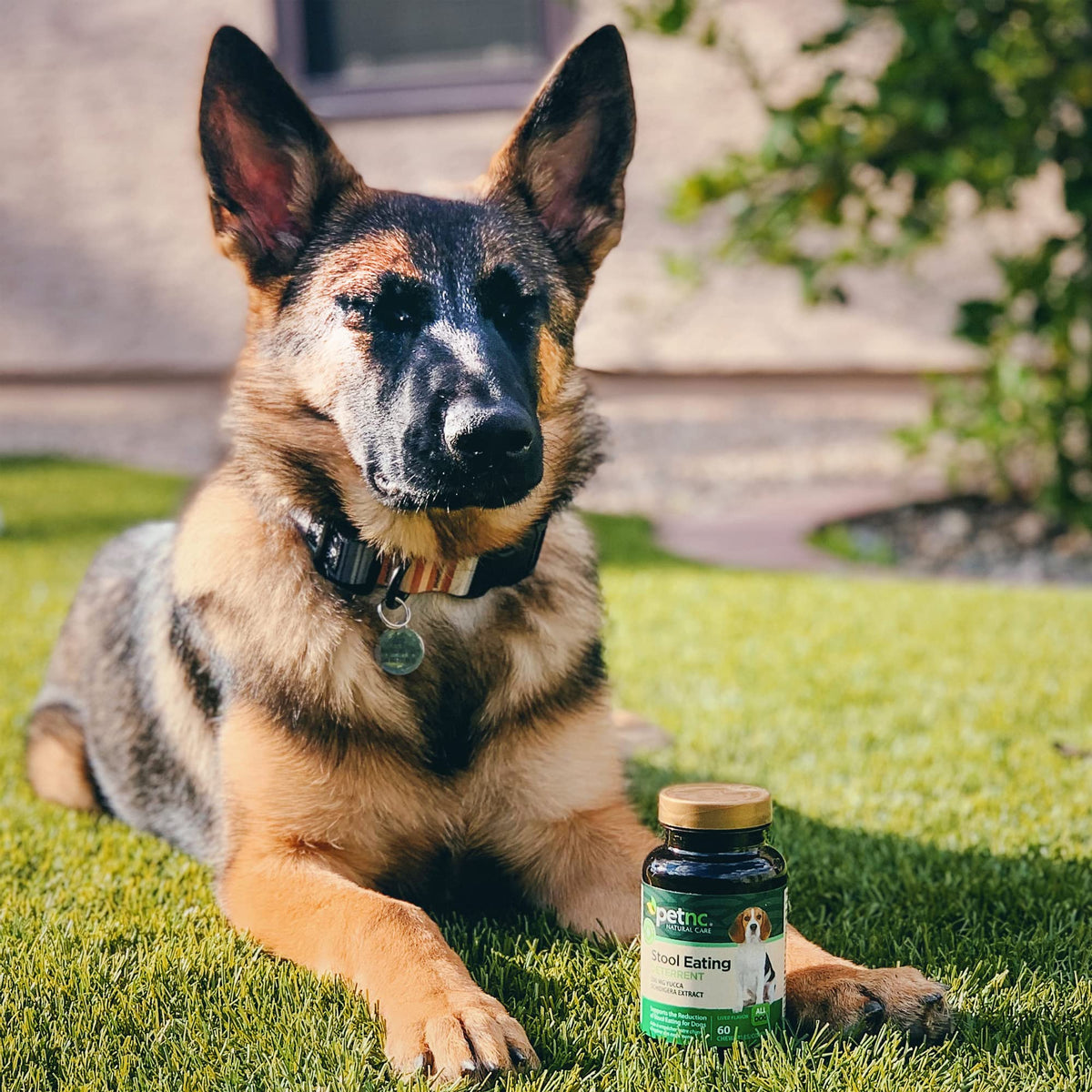 Stool Eating Deterrent Chewables for Dogs, 60 Count L920