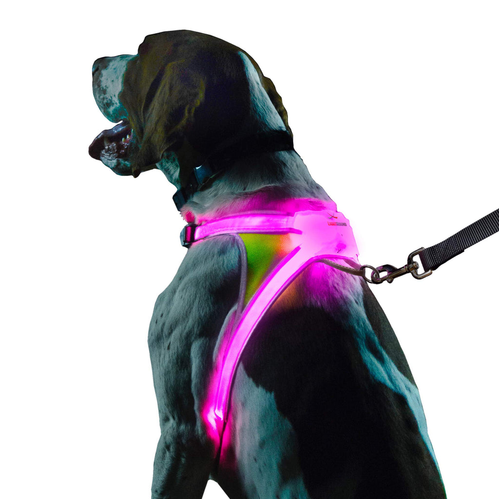 Reflective Light Up Dog Harness Large R392