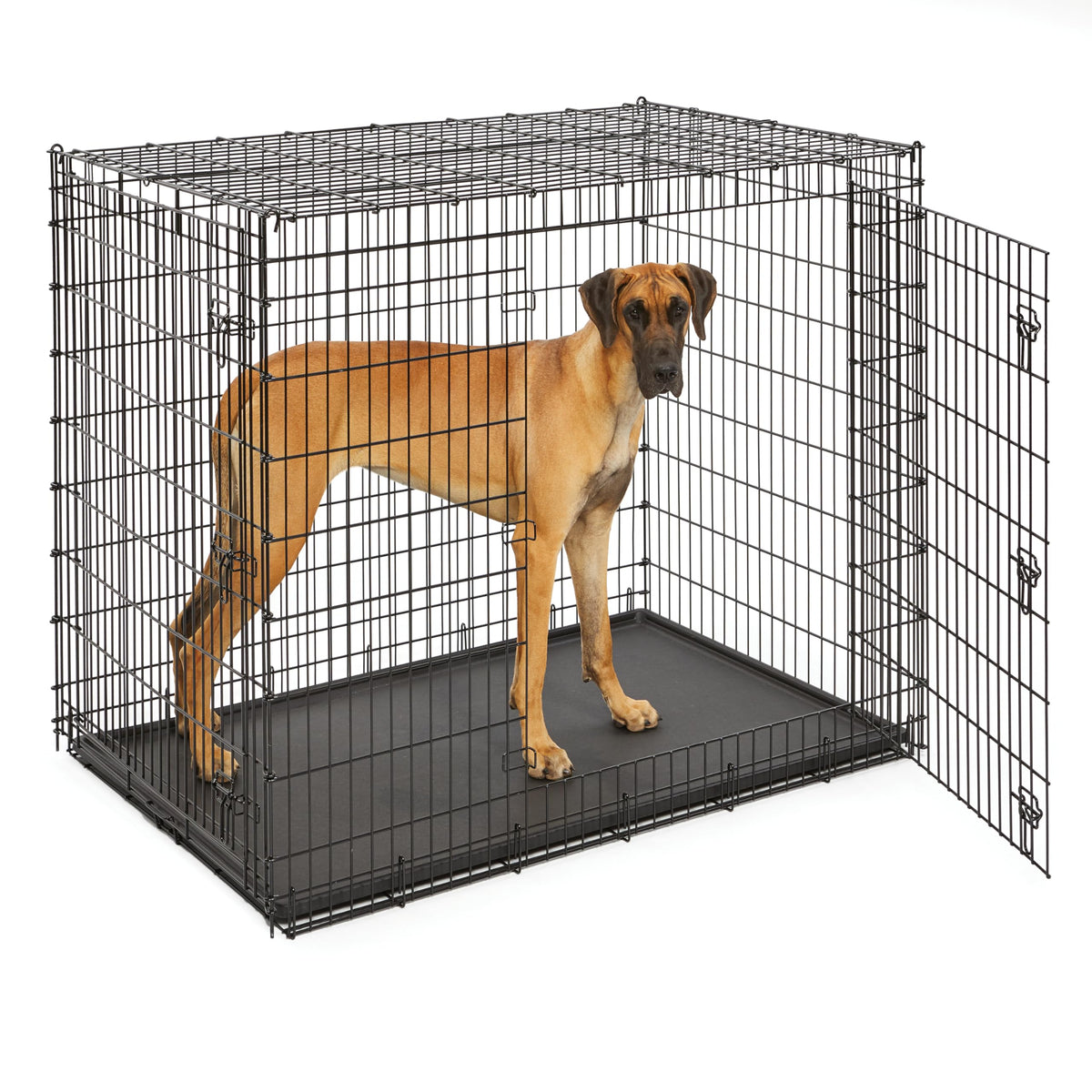 54-Inch Double Door Crate B7726